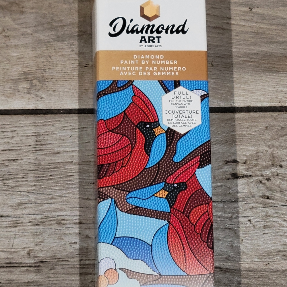 Diamond Art Paint By Numbers Craft Art Kit Intermediate NIB